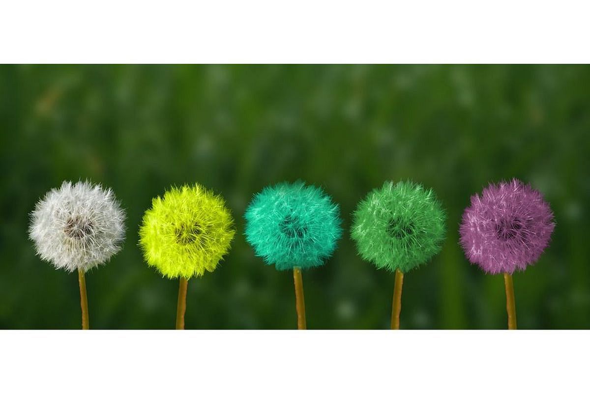 カラフルな夢は何を暗示している？ | シンボルの意味