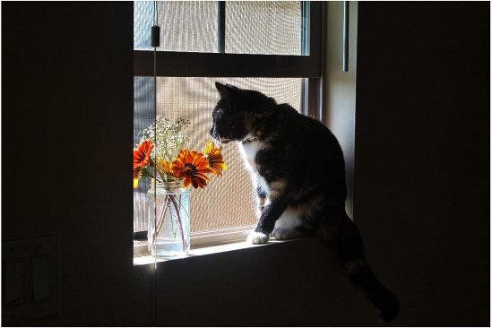 表面上はクールでも…かなりのやきもち焼き！特別感を持たせてあげて