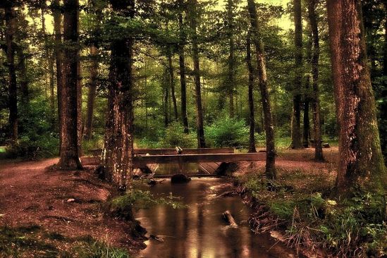 不倫相手の本音≫この状況から逃れたいのかも？今の関係に罪悪感があります