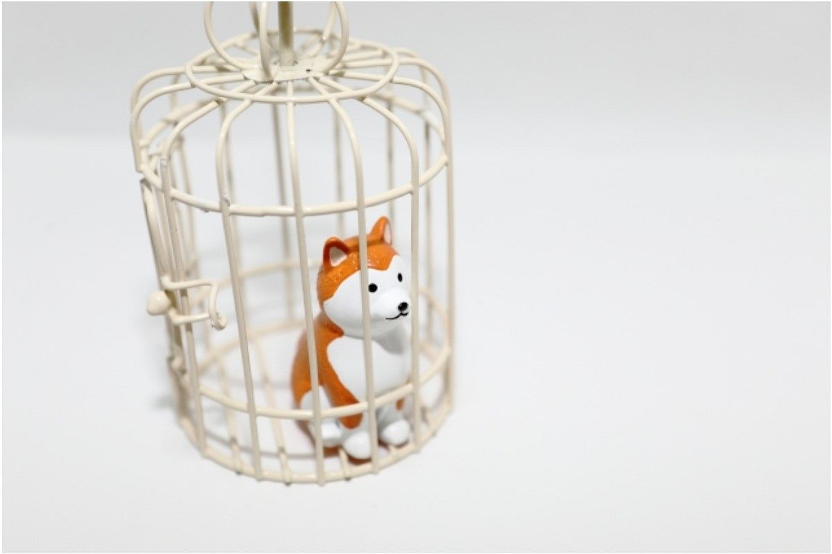 虐待される夢は何を暗示している？