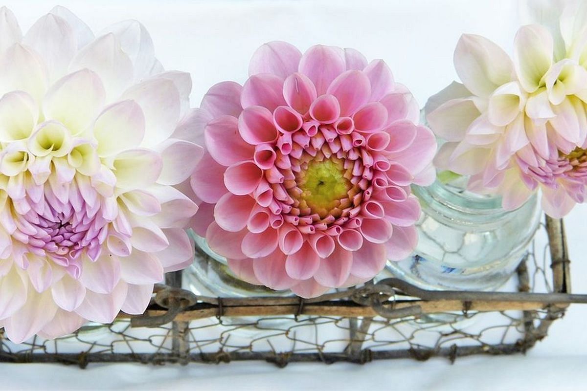 運命の人の特徴判明！若々しさを意識した服装で5つ以上年上の人