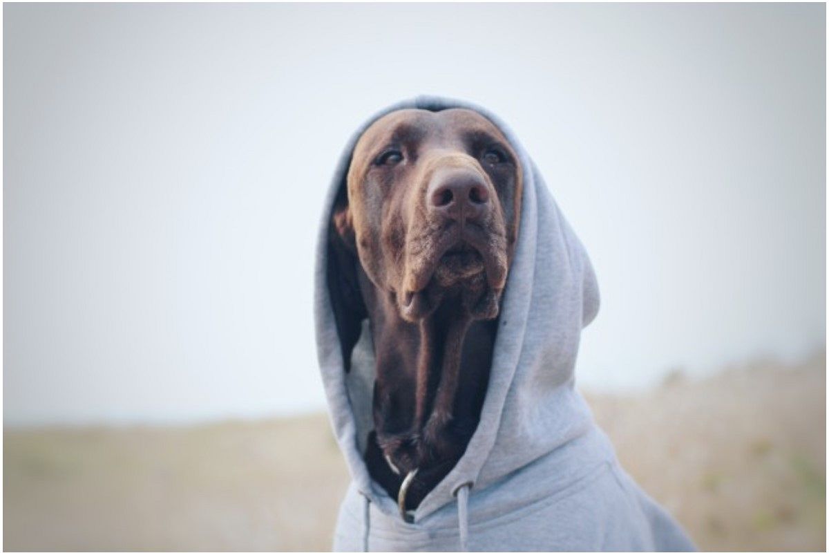 背負いきれる？…結婚へのプレッシャーと責任。足並みをそろえてみて！