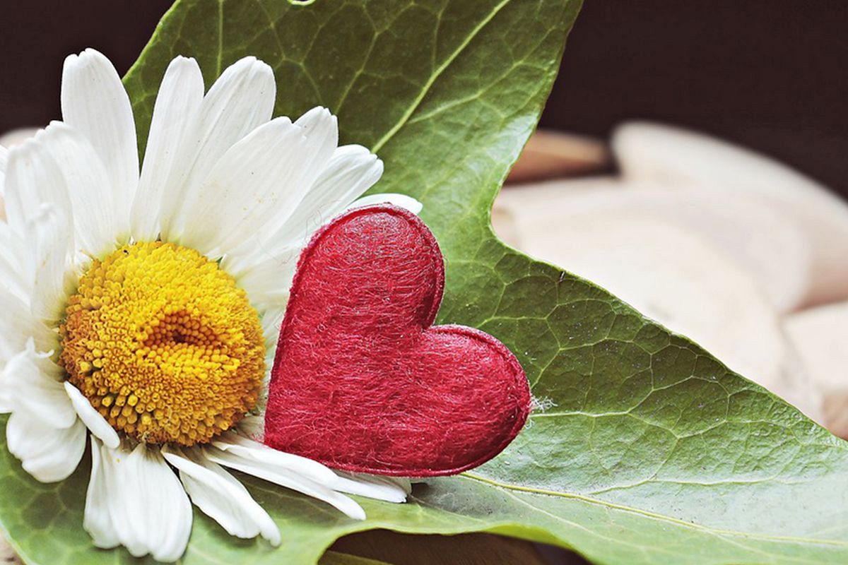 運命の人は、これまで出会った誰よりも素敵な人。自分を飾らずに接して