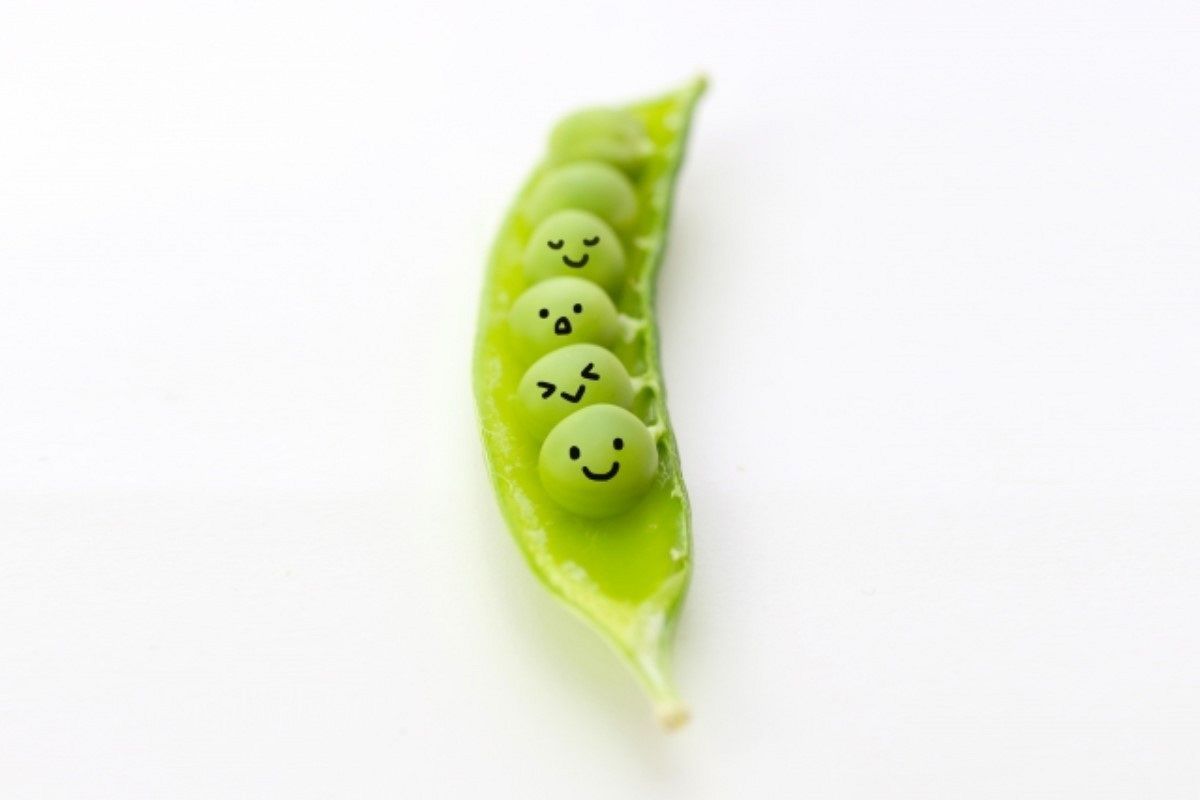 ★家族関係相性診断★どうしても家族と合わない…本当の相性ってどうなの？