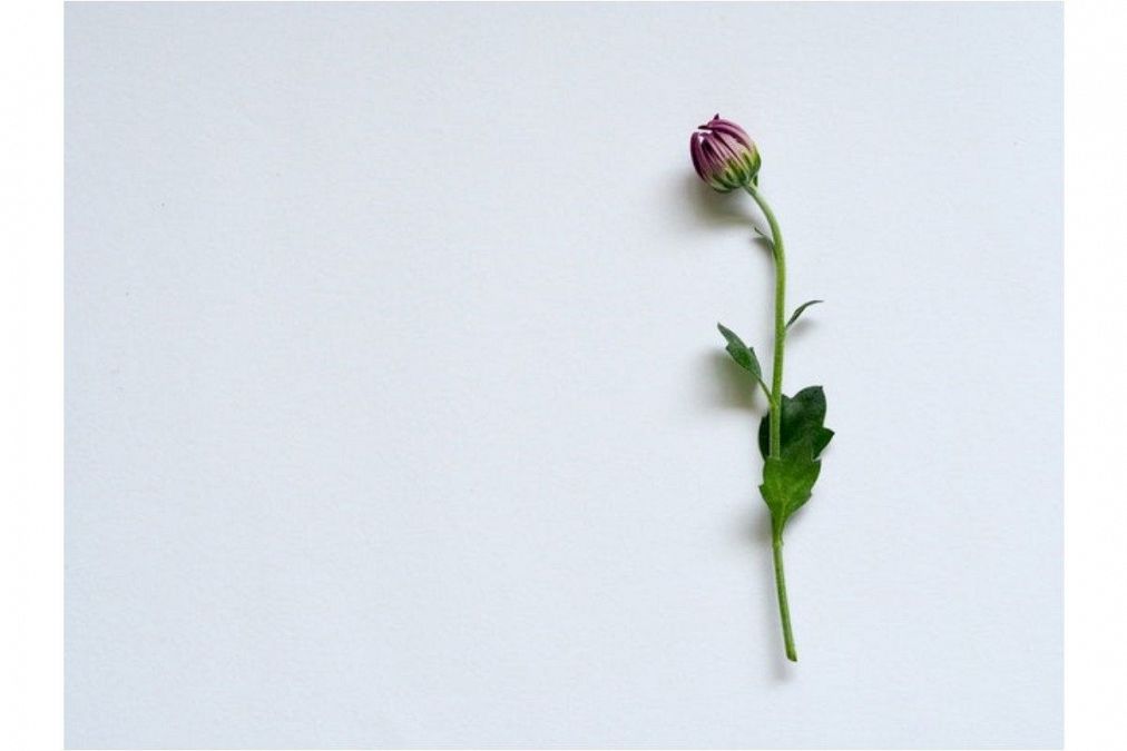 成功確率50～80％！お互いのことをもっと知ればあの人の迷いは消えますよ。