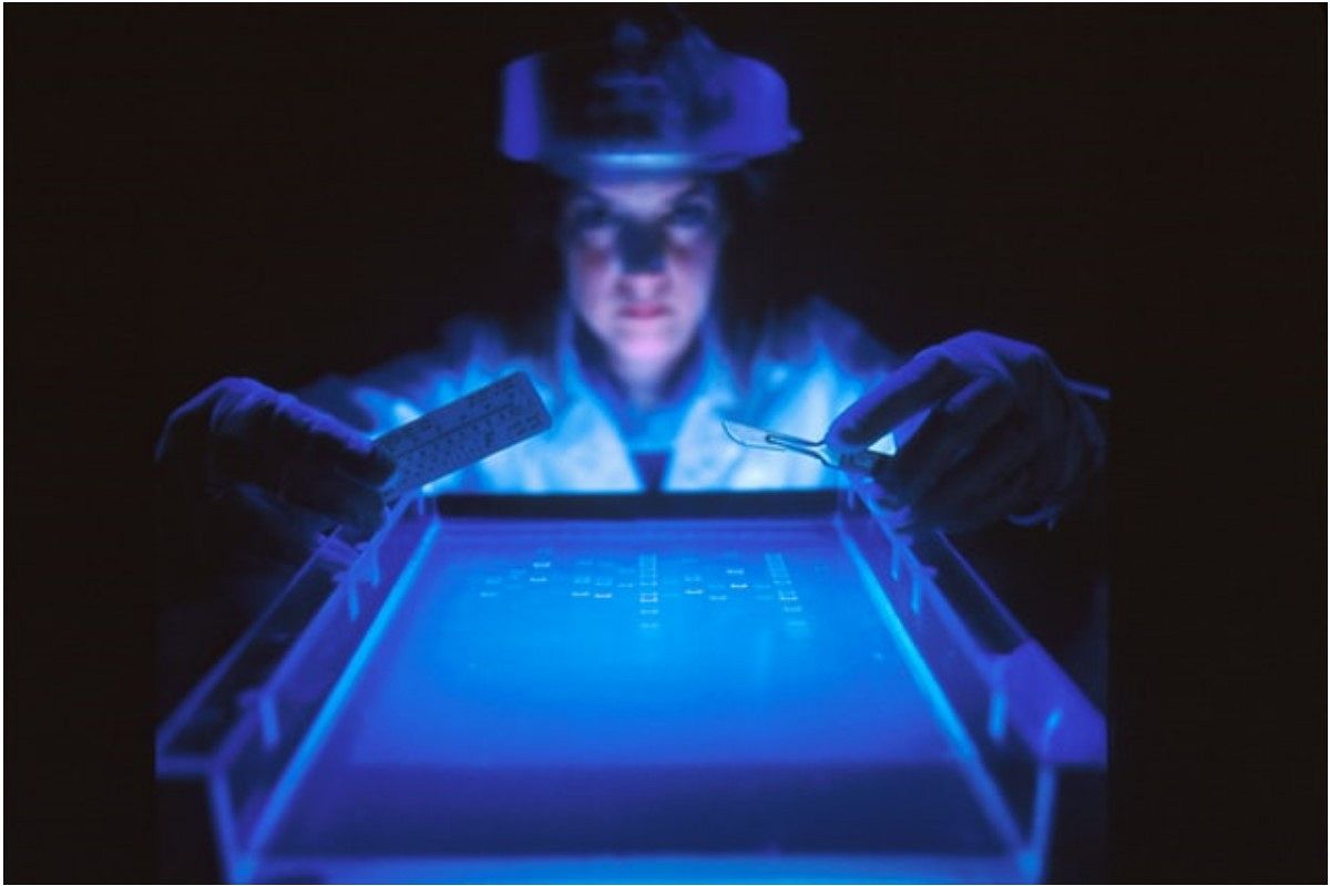 科学者の夢は何を暗示している？