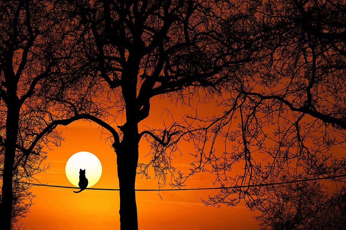 あなたの魅力が高まるとき。良いことも厄介なことも引き寄せるかも？