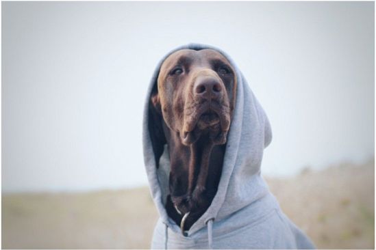 家に帰ればそれなりに幸せなあの人…あなたへの気持ちに嘘はないけど
