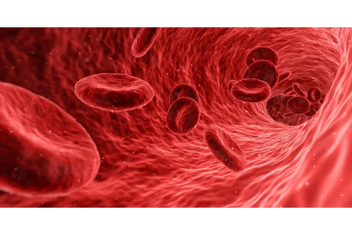 血の夢は何を暗示している？