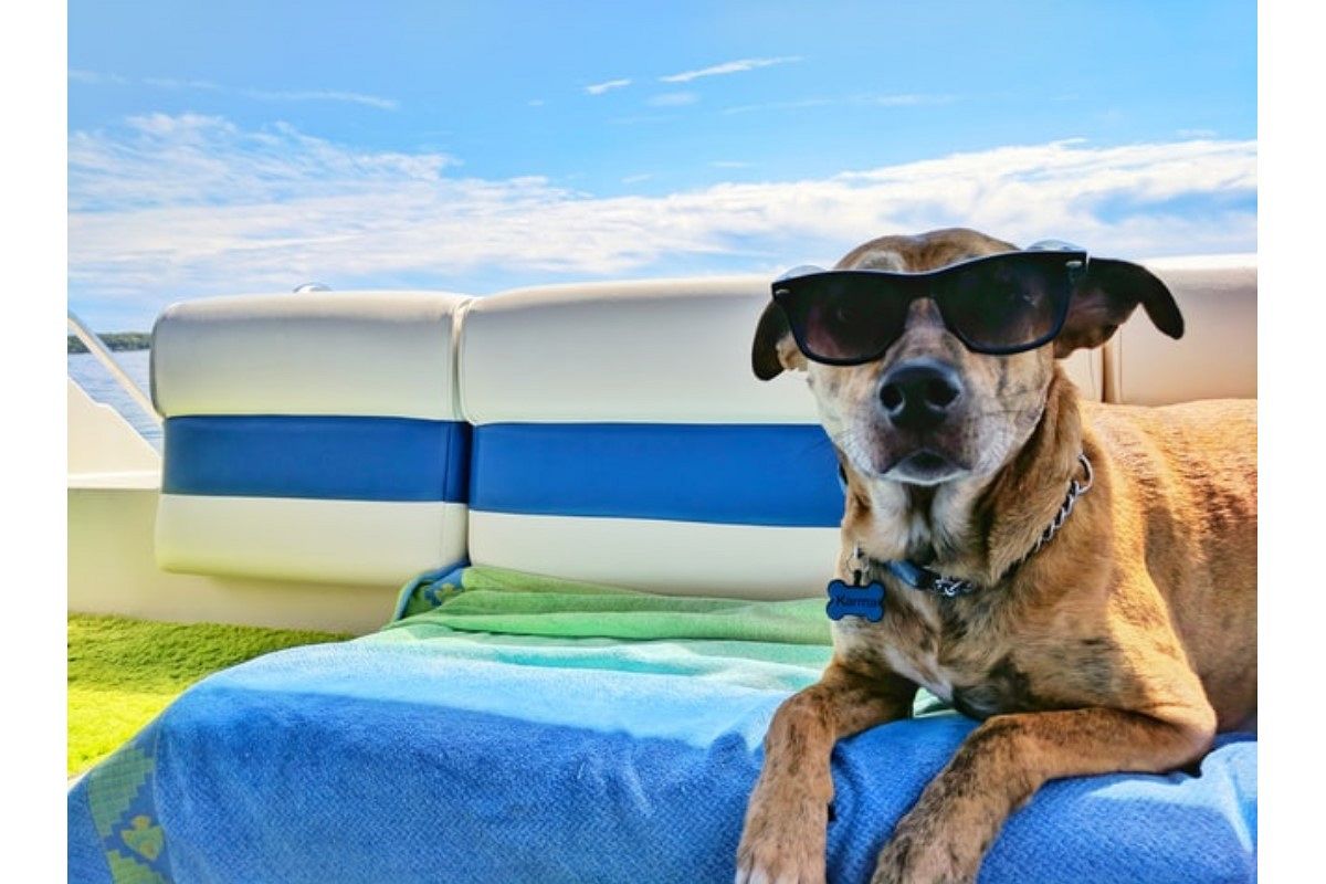 かっこいい夢は何を暗示している？