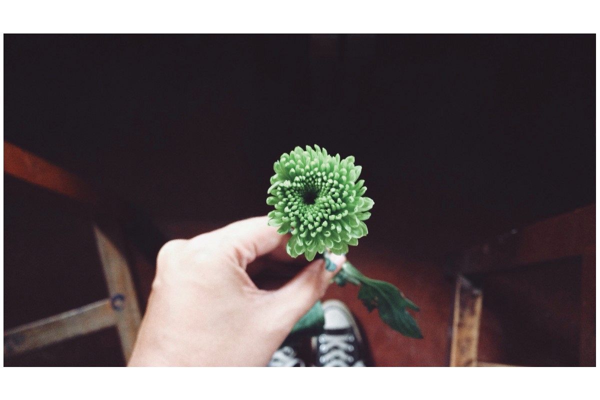 仕事でのあなたの未来は…仕事が義務に～安定した生活は保障されます。