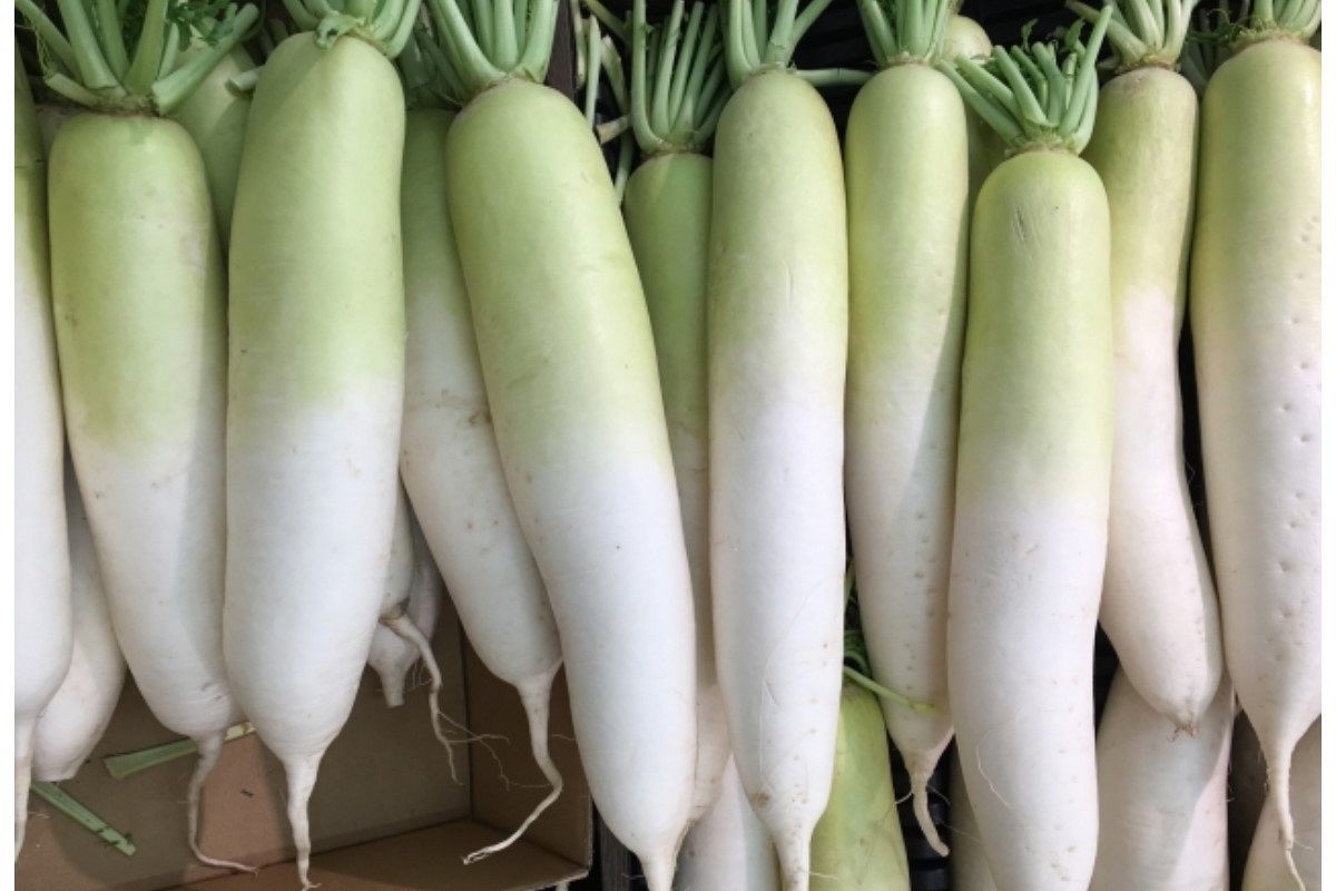 大根の夢は何を暗示している？