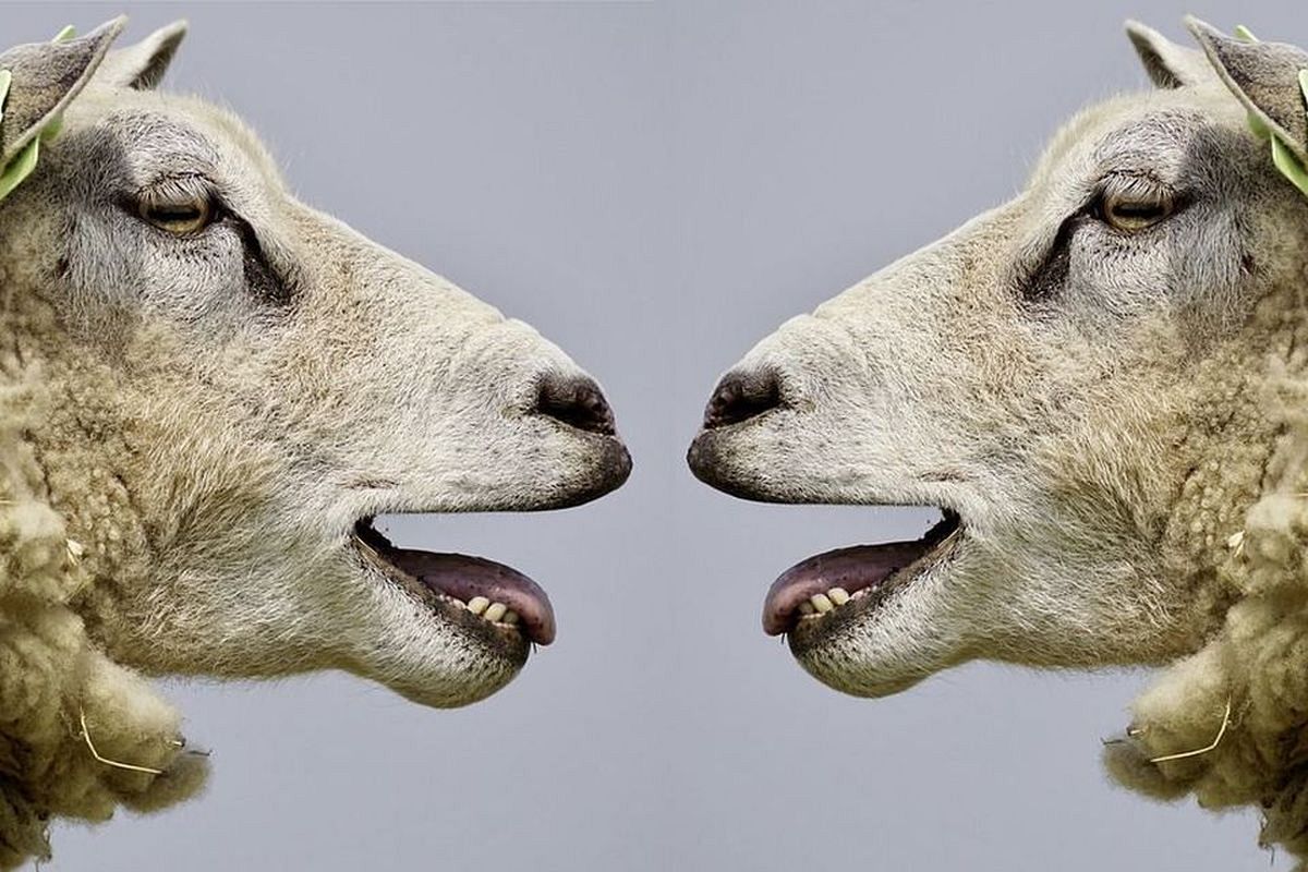 声の夢は何を暗示している？