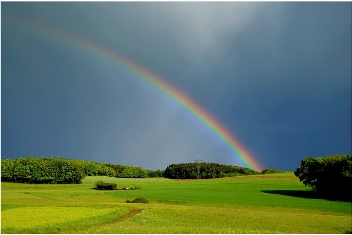 奇跡の夢は何を暗示している？
