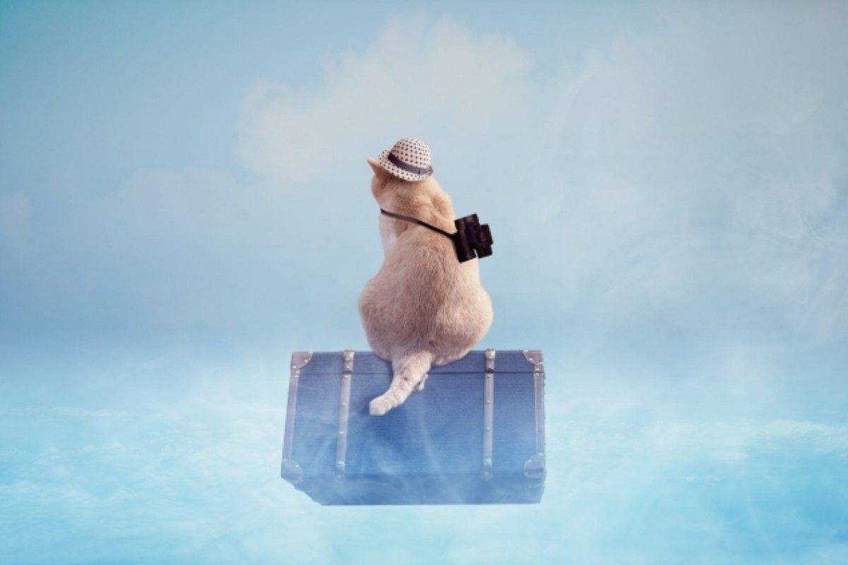 この恋…まだまだ時間がかかりそう。慎重なあの人にしっかり向き合って