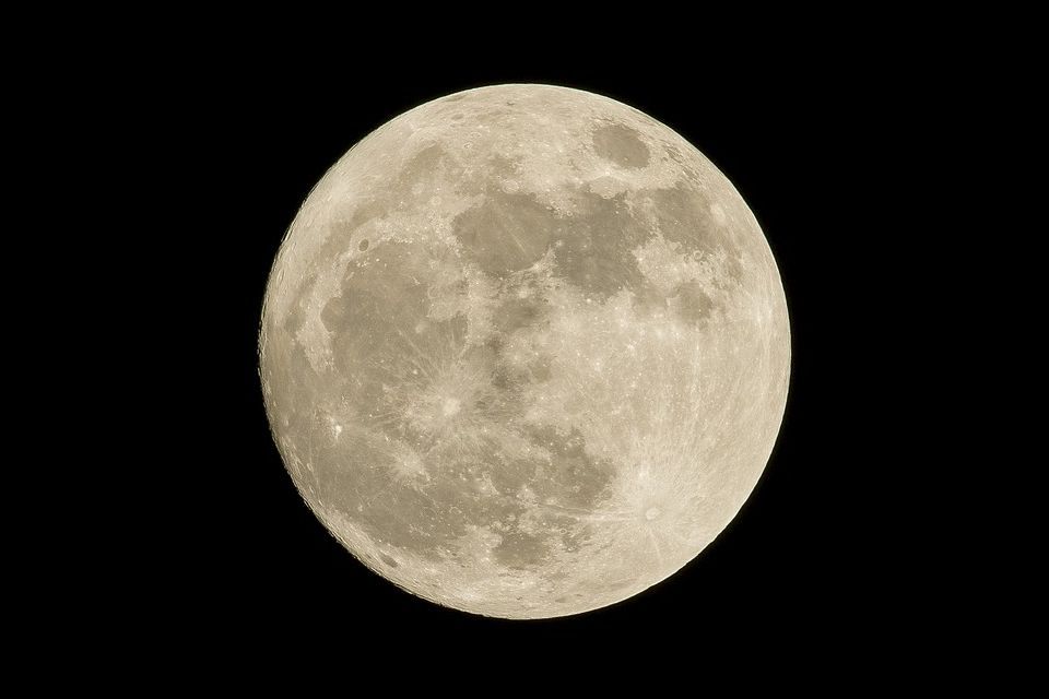 誕生日占い 不倫女性用 あの人は奥さんのことをどう思ってるの 離婚の予定はある さちこい