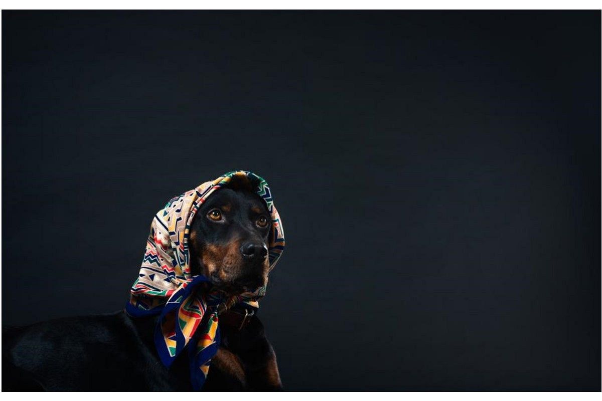 片思い占い 辛口でも知りたい あの人の今のあなたへの本音 無料片思い鑑定 さちこい