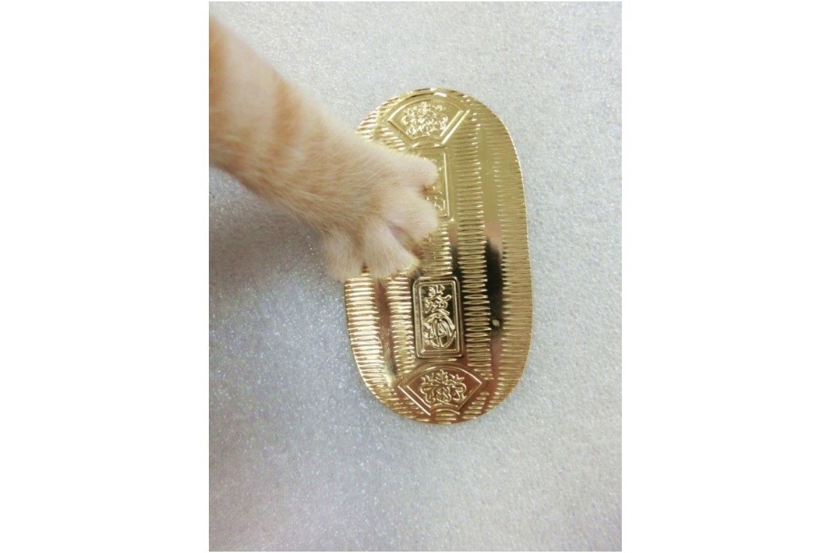 夢占い・夢診断｜小判の夢は何を意味している？｜さちこい