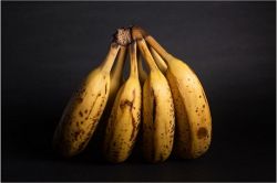 夢占い・夢診断│腐る夢は何を暗示している？