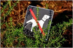 夢占い・夢診断│尿の夢は何を意味している？