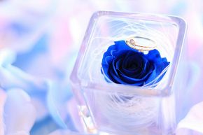 占いコラム│【実用的中占い】運命数5のあなたの未来に何が起こる？～近未来編～