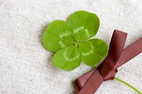 占いコラム│東京でオススメの占いスポット