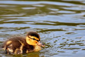 占いコラム│的中率99％超！次何が起こる？運命数4のあなたの人生まるわかり！