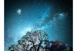タロット占い│七夕出会い占い【あなたの運命の相手★彦星★と出会うのはいつ？】