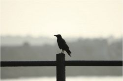 名前占い│周囲の評価は辛口かも？あなたの人生に役立つ才能と意外な欠点