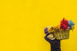 人生占い│辛口注意！ ズバリお伝えしましょう！「今のあなたに必要ではないもの」