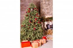 夢占い・夢診断│クリスマスの夢は何を意味している？