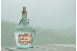 夢占い・夢診断│生き物を殺す夢は何を意味している？