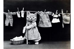 夢占い・夢診断│洗濯の夢は何を暗示している？