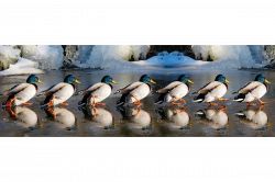 夢占い・夢診断│行進の夢は何を暗示している？