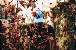 夢占い・夢診断│落第の夢は何を暗示している？