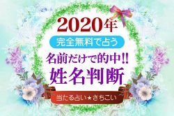 姓名判断│2020年≫姓名判断DX占い【試練を乗り越え幸運を掴む】恋愛・結婚・仕事・お金