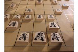 夢占い・夢診断│将棋の夢は何を暗示している？