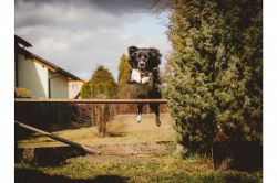 夢占い・夢診断│障害物の夢は何を暗示している？ | 夢占い分析