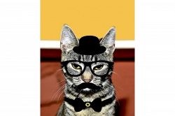 夢占い・夢診断│変装の夢は何を暗示している？