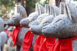 夢占い・夢診断│稲荷の夢は何を暗示している？ | シンボルの意味