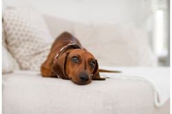 復縁占い│「今も忘れていないはず」あの人はあなたのこのようなところを愛していました