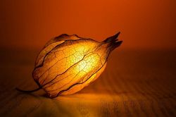 片思い占い│このままずっとこの関係？◆あの人はあなたとの恋愛を考えたことがある？