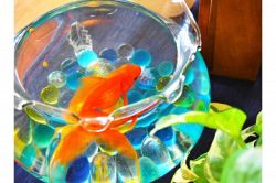 夢占い・夢診断│金魚鉢の夢は何を暗示している？