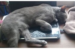 夢占い・夢診断│邪魔される夢は何を意味している？