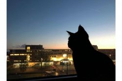 夢占い・夢診断│途中下車の夢は何を暗示している？