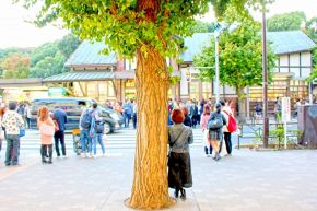 オフェリア・麗の星座+血液型占い│星座によってこんなに違う、運のつかみ方、生かし方【射手座】