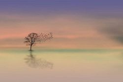 人生占い│≪人生山あり谷あり≫あなたの人生における、これからの運命の変化