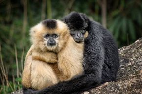 占いコラム│魚座女性のための1日も早く恋人を見つけるテクニック～自力or紹介