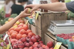 夢占い・夢診断│売る夢は何を暗示している？