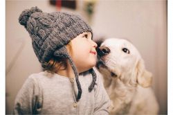 タロット占い│今日の恋愛運◆タロット占い～今日誰かと恋に落ちる可能性◯◯％